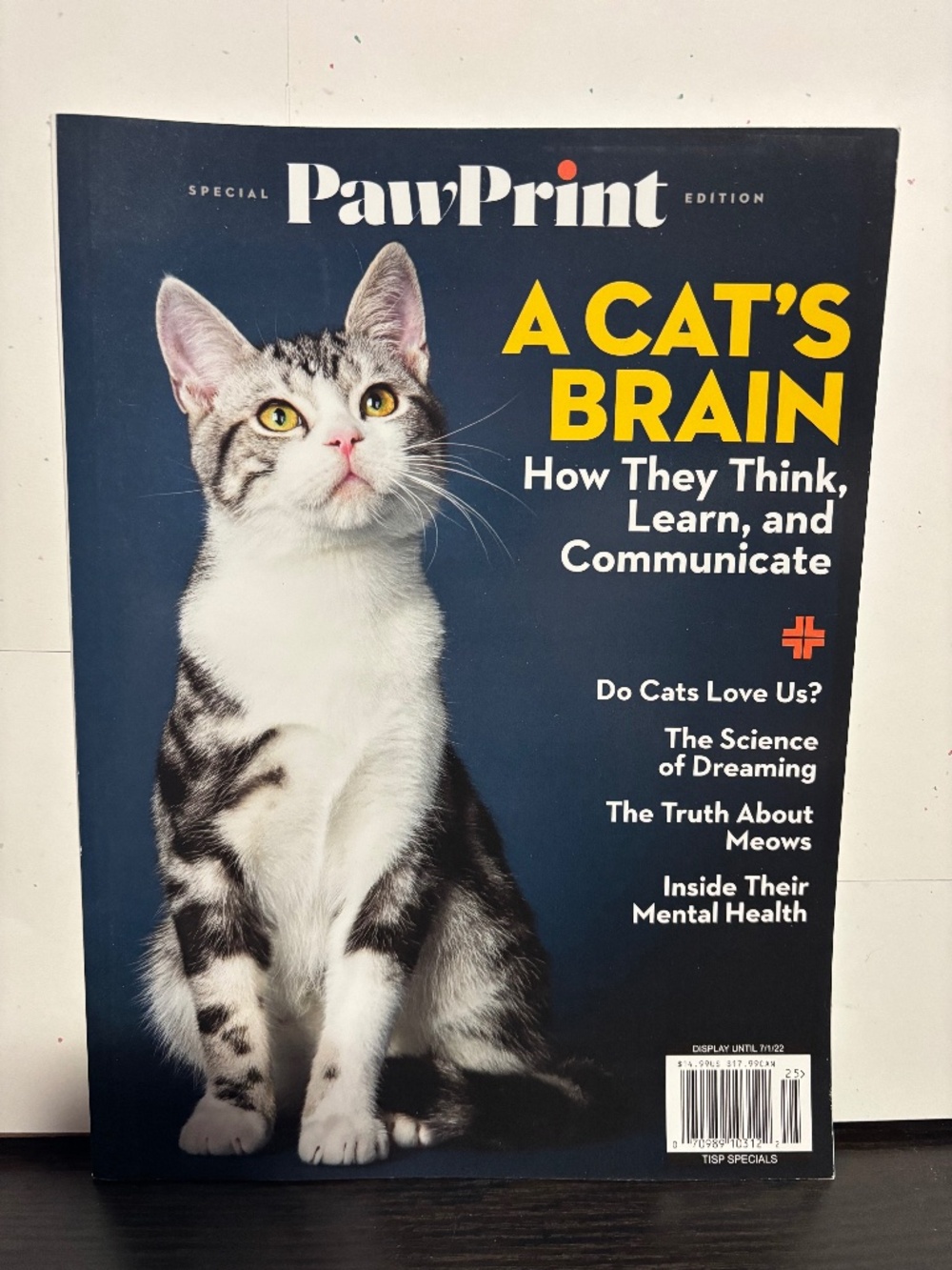 Cat Magazine